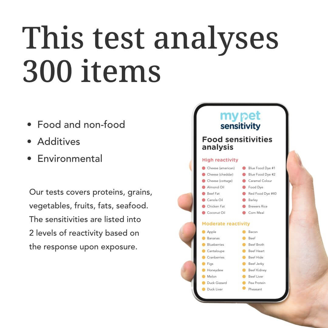 pet-sensitivity-test-results-on-mobile-phone