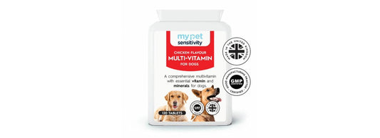 Do Dogs Need Multivitamins?